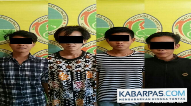 
Tertangkap Tangan Edarkan Pil Koplo, Empat Pria Ini Ditangkap Bergiliran