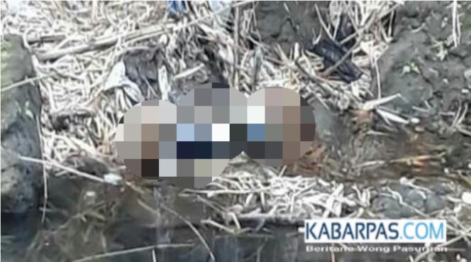 
Mayat Bayi Tak Berdosa Ditemukan Dengan Kondisi Mengenaskan