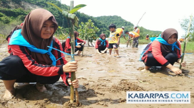 
Siswa SMA Muhammadiyah 1 Pacitan menanam pohon mangrove