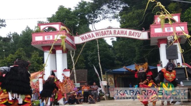 
Festival Rawo Bayu Banyuwangi, Tampilkan Sejarah Prabu Tawang Alun