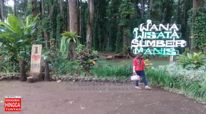 
Wisata Sumber Manis Banyuwangi Jadi Surga Dunia Wisatawan