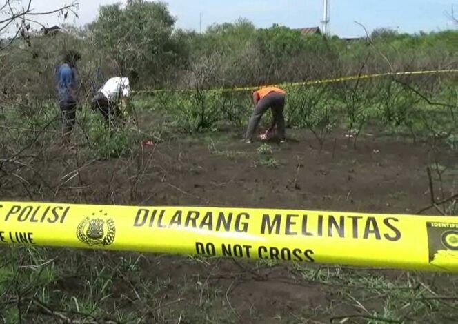 
Tulang Belulang Diduga Kerangka Manusia Ditemukan Berserakan di Pelabuhan Mayangan Probolinggo