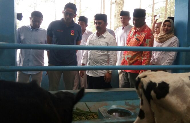 Berkunjung ke KPSP Setia Kawan Nongkojajar, Sandiaga Disambati Petani Sapi Perah