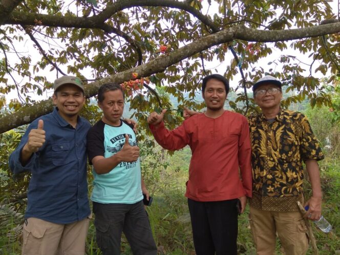 Promosikan Durian Wonosalam, Khofifah Banjir Pujian