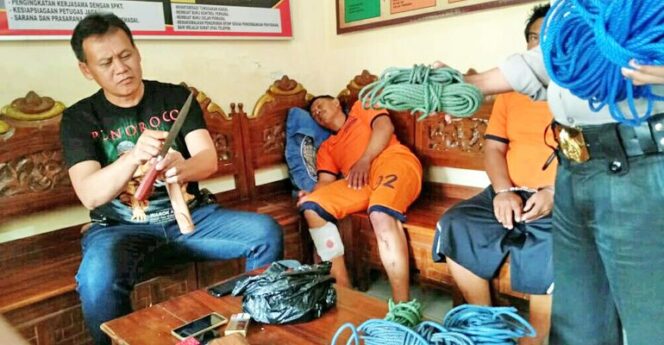 
Polisi Gagalkan Maling Sapi, 2 Tersangka Masih Buron