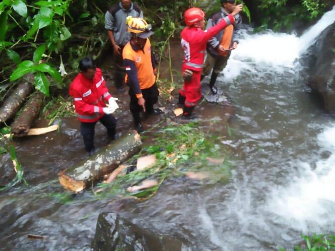 
Ternyata Penyebab Pohon Tumbang  Timpa Dua Pengunjung Conan Glotak Akibat Tanah Longsor