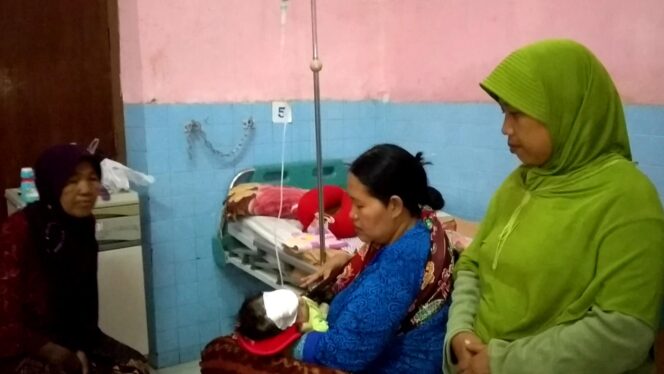 
Astaga, Bayi Usia 40 Hari Diserang Kera Liar hingga Luka Serius