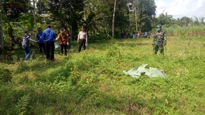 
Geger, Pencari Rumput Temukan Mayat di Ladang