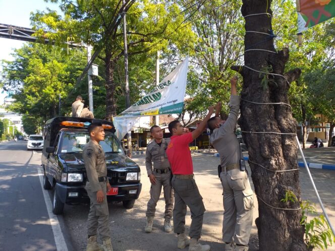 
Satpol PP Kabupaten Probolinggo Tertibkan Puluhan Reklame