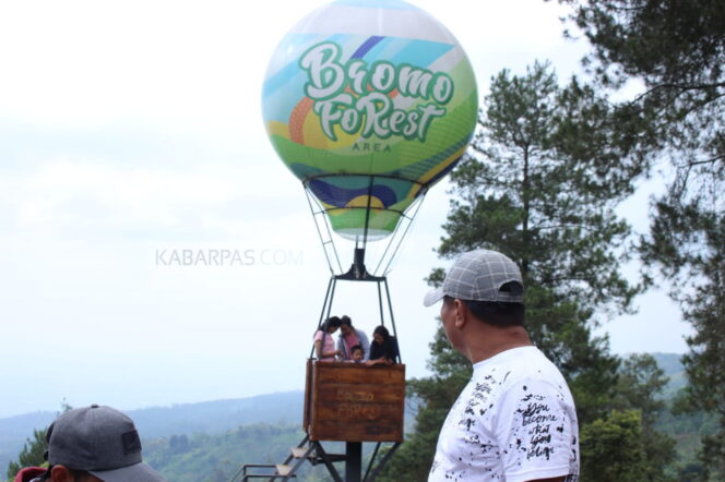 
Nikmati Panorama Indah Bromo Forest yang Cocok Untuk Wisata Keluarga 