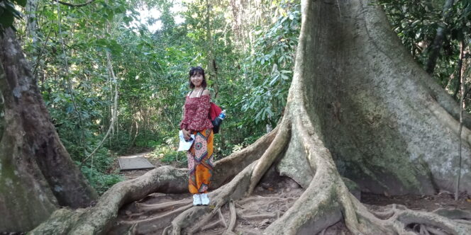 
Menjelajahi Hutan ala Petualang di Taman Negara Malaysia