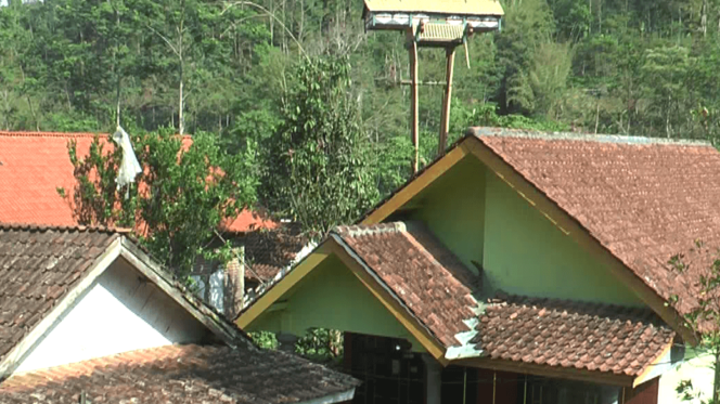 
Unik, Desa di Kabupaten Probolinggo Ini Diberi Nama Kampung Strom