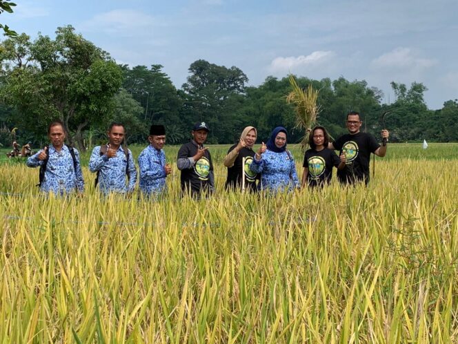 
Gerakan Rejoso Kita bersama Petani Rayakan Panen Perdana Lahan Percontohan di Pasuruan