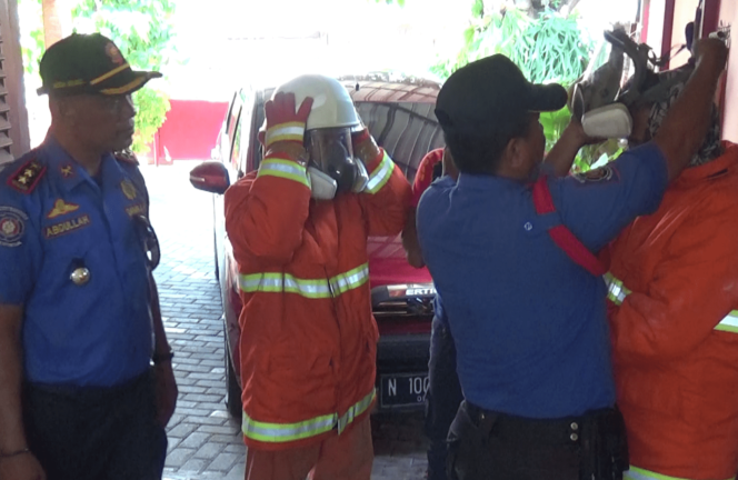 
Tim Damkar Kota Probolinggo Respon Cepat Evakuasi Sarang Tawon di Rumah Warga