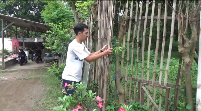 
Begal Bersenjata Elektrik Gun Rampas Motor Janda Anak Dua di Probolinggo