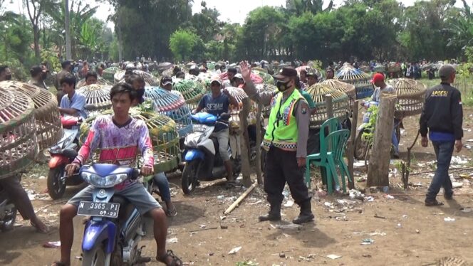 
TIdak Berizin dan Abai Prokes, Tradisi Lepas Merpati Dibubarkan Petugas