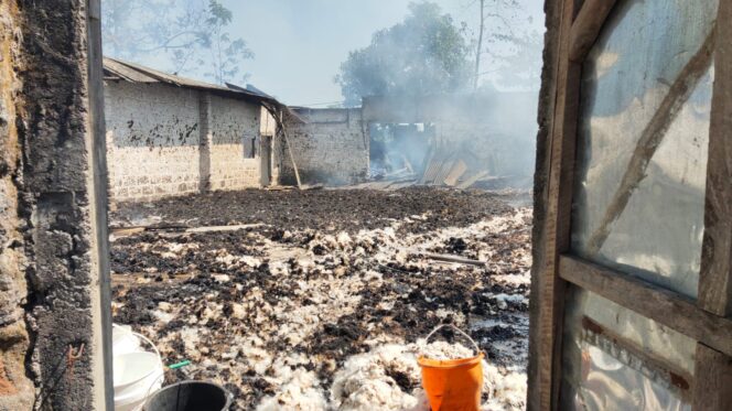 
Gudang Kapuk di Probolinggo Ludes Terbakar