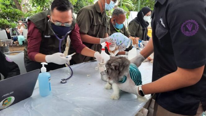 
Pemkab Banyuwangi Galakkan Vaksinasi Rabies Hewan Peliharaan