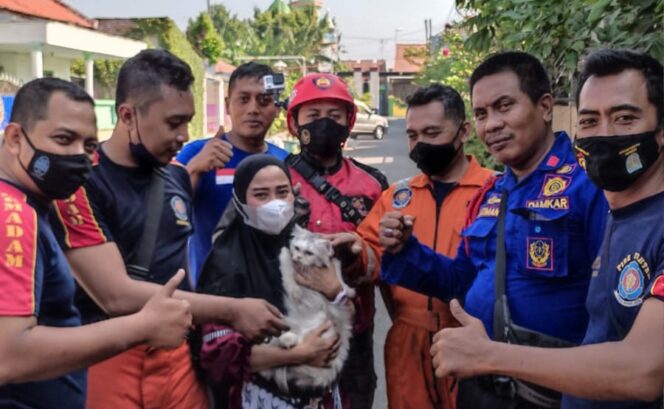 
Damkar Kota Probolinggo Berhasil Evakuasi Kucing Terjepit Tembok
