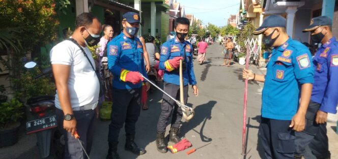 
Ular Piton Teror Warga Mayangan, Damkar Datang Bantu Atasi Permasalahan