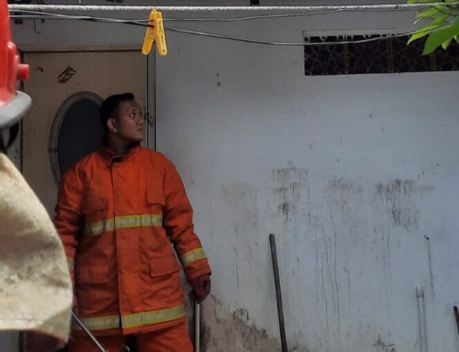 
Damkar Kota Probolinggo Bantu Tangkap Kera Milik Warga yang Lepas