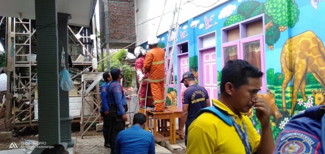 
Tim Damkar Kota Probolinggo Evakuasi Sarang Tawon di Atap Sekolah