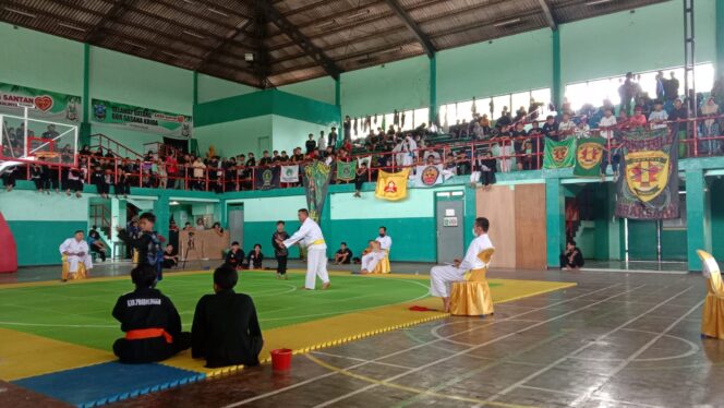 
IPSI Probolinggo Gelar Kejuaraan Pencak Silat Bupati Cup 2022