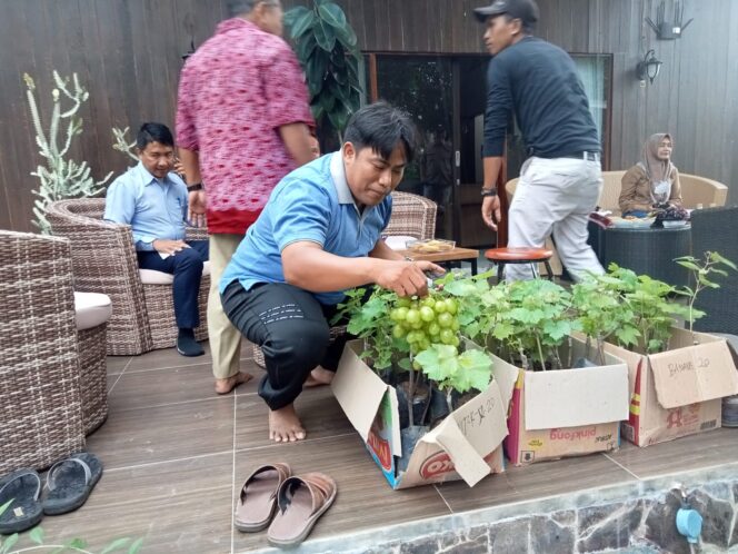 
CSR PT YTL Paiton dan Kecamatan Krejengan Serahkan Bantuan Bibit Anggur