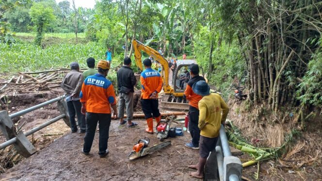 
BPBD Gotong Royong Bersihkan Bambu Pemicu Putusnya Jembatan di Probolinggo