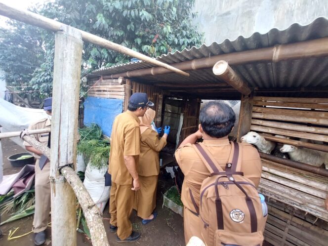 
Disperta Harap Masyarakat Tidak Jual Hewan Ternak yang Terjangkit Lumpy Skin Desease