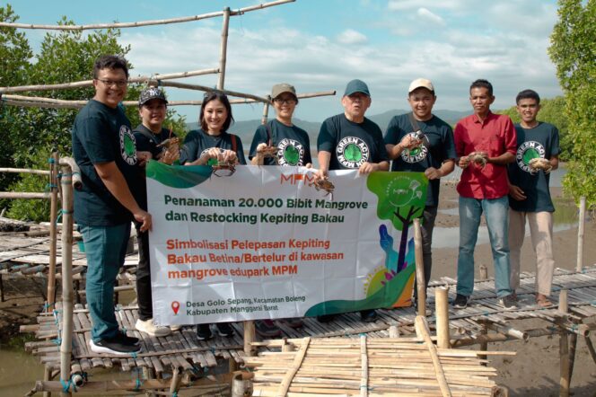 
Tanam 20 Ribu Bibit Mangrove,MPMX Lanjutkan Rehabilitasi Mangrove di NTT