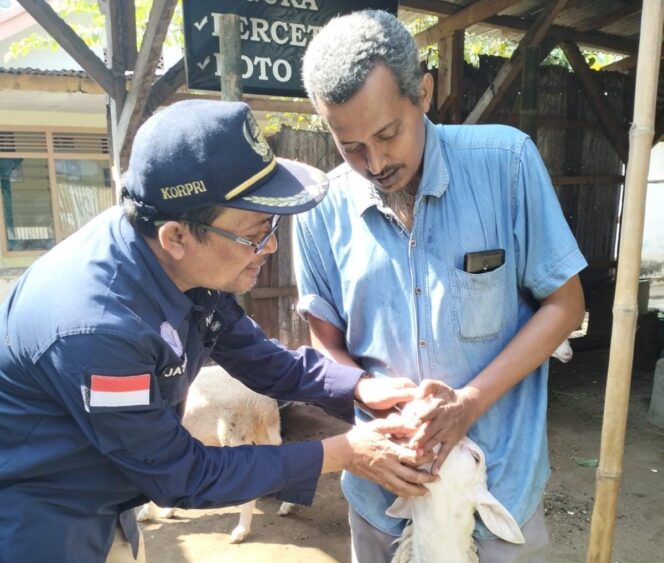 
Jelang Idul Adha, Diperta Probolinggo Lakukan Pemeriksaan Hewan Kurban