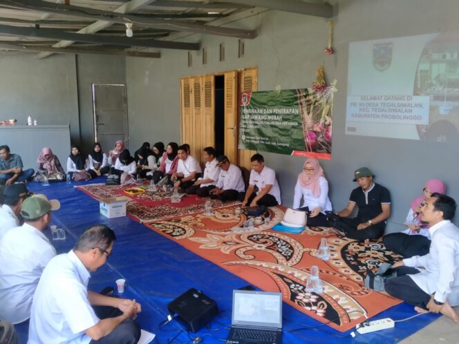 
Pemkab Terima Kunjungan Lapang Studi Kelayakan Budidaya Bawang Merah DKPP Lumajang