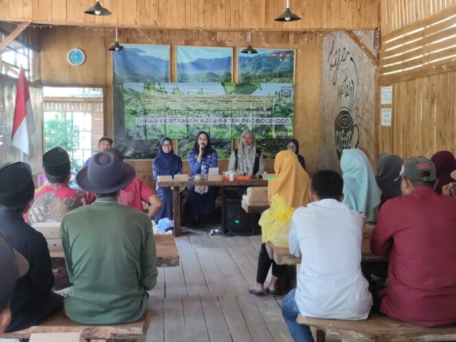 
Diperta Probolinggo Berikan Sosialisasi Pengendalian OPT Perkebunan Tanaman Tembakau