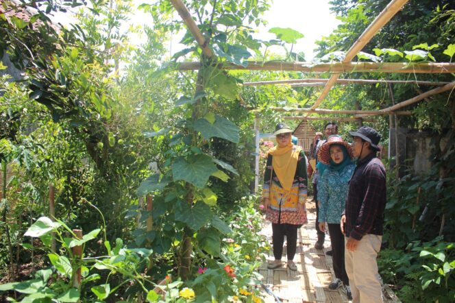 
TP PKK Probolinggo Dukung Keamanan Pangan Lokal