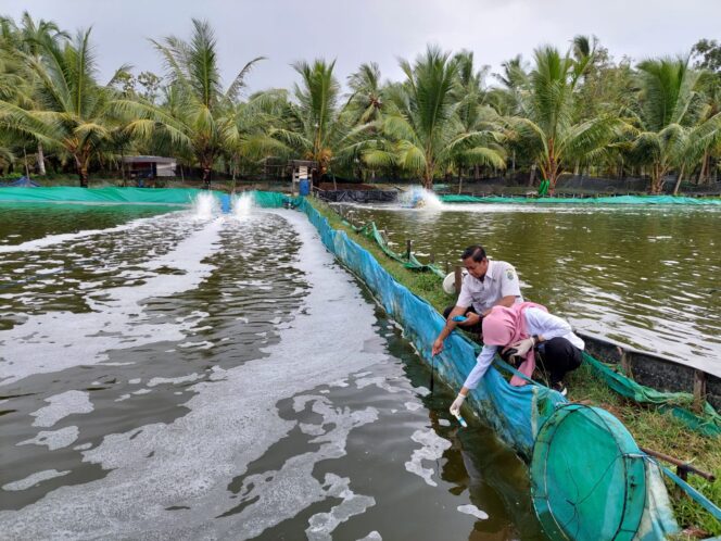 
Dinas Perikanan Trenggalek Luncurkan ‘Mas Koki’ untuk Atasi Masalah Kesehatan Ikan dan Lingkungan