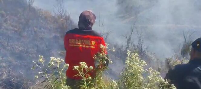 
Kawasan Hutan Bromo Terbakar