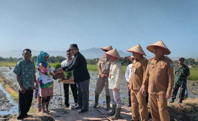
Pemkab Probolinggo Kampanyekan Gerakan Tanam Padi Biofortifikasi