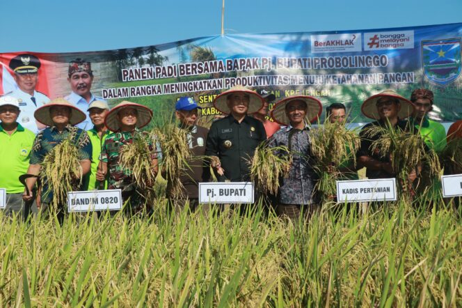 
Tinjau Areal Persawahan, Pj Bupati Ugas dan Dandim 0820 Panen Padi Bersama