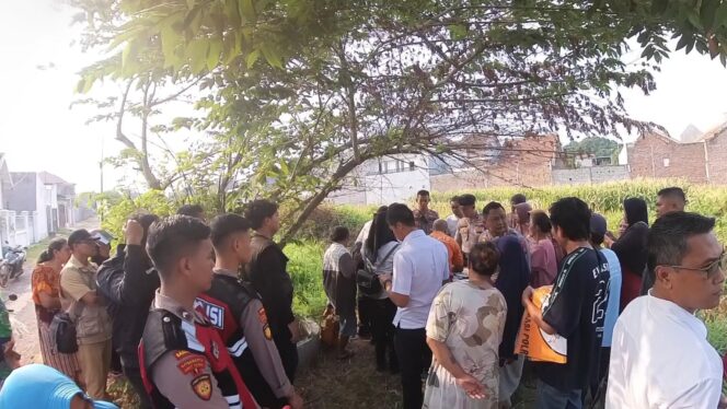 
Heboh Temu Boneka, Ternyata Mayat Bayi Tak Berdosa