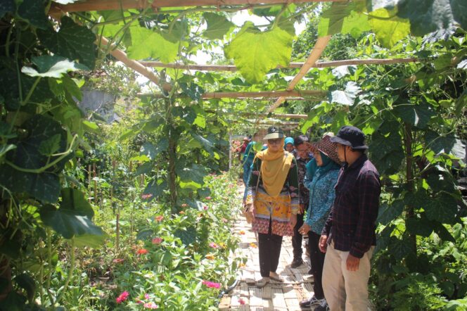 
Wujudkan Kemandirian Pangan Melalui Program P2L