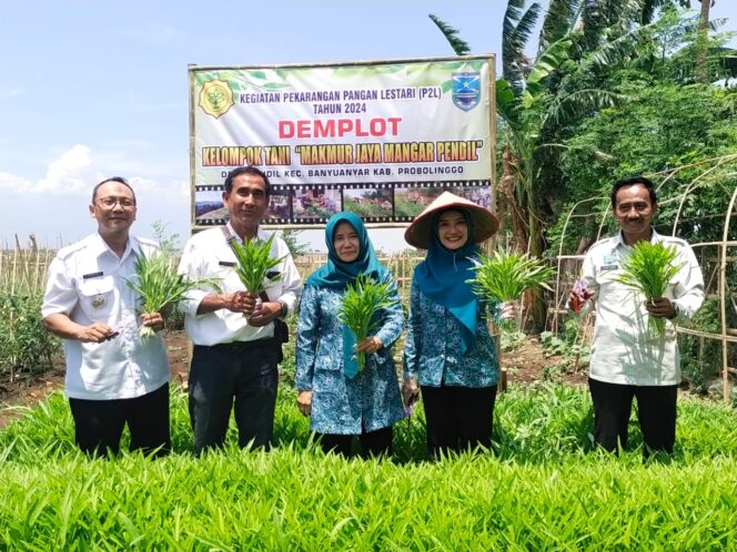 
Tekan Stunting, Diperta-TP PKK Gelar Kegiatan P2L dan Penyerahan Bahan Praktek PMT 