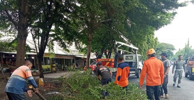
Pemkab Probolinggo Raih Indeks Pelayanan Publik 4,20 