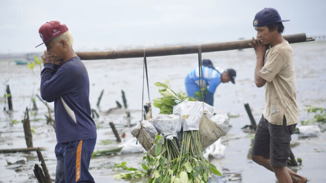 
Kini, LindungiHutan Punya Layanan Impact Report untuk Ukur Dampak Hijau