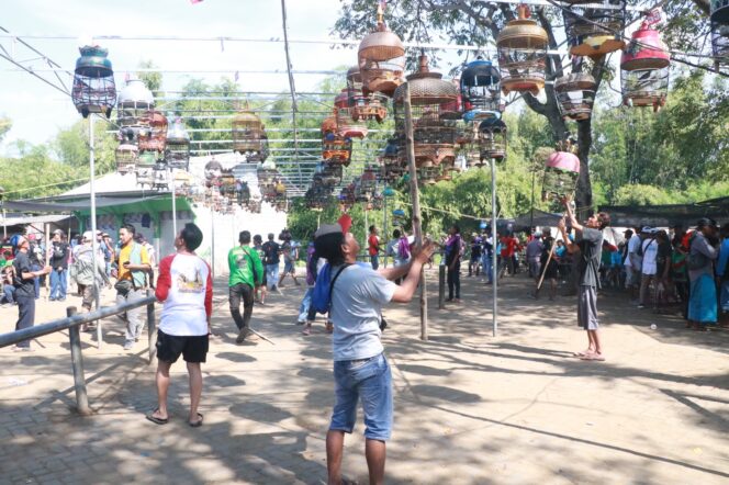 
Lomba Gacoran Perkutut Lokal Semarakkan Harjakapro ke-279