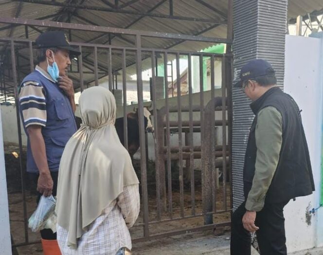 
Jelang Idul Adha 1446 H, Diperta Lakukan Pengawasan Produk Pangan Asal Hewan