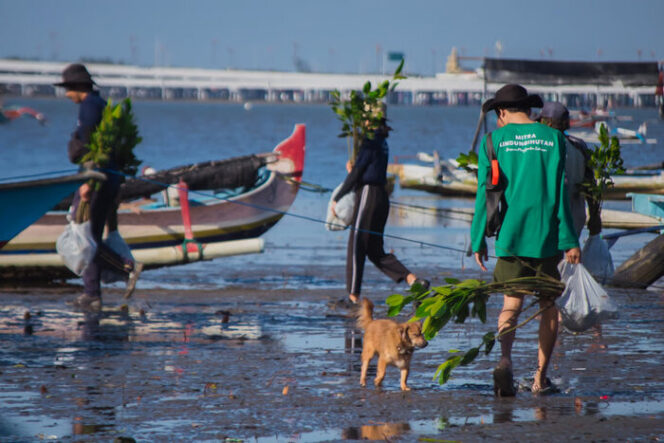 
LindungiHutan Capai Target 1 Juta Pohon, Ini Pihak-Pihak yang Mendukung Kesuksesannya
