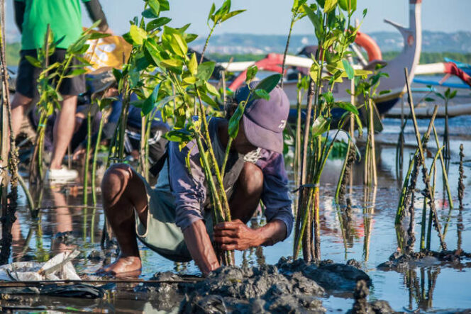 
Hari Lingkungan Hidup 2025, Saat Aksi Kolektif Jadi Kunci Pulihkan Alam