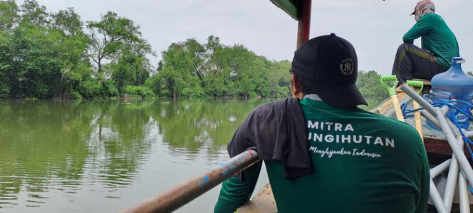 
Surabaya hingga Semarang: Kota Pesisir yang Bangkit Lewat Hutan Mangrove
