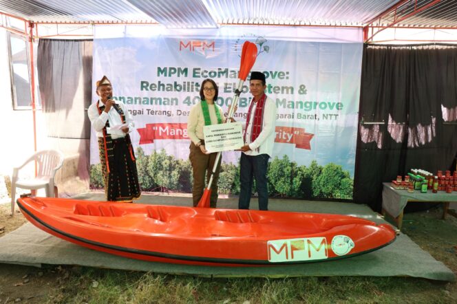 
MPMX Lanjutkan Rehabilitasi Mangrove, Capai 100.000 Bibit Tertanam di Desa Golo Sepang, NTT